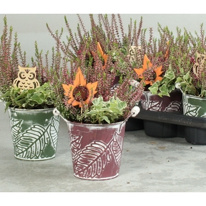 ARR TUINPLANTEN
