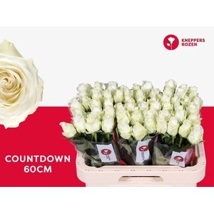 R GR COUNTDOWN! 60