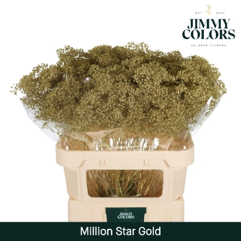 <h4>Gyps Million Star L80 Metallic gold</h4>