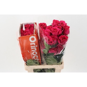 R Gr Pink Floyd! Box CO