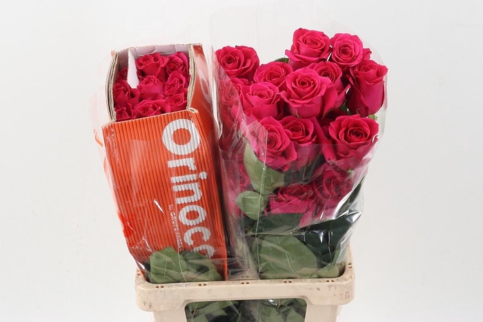 <h4>R Gr Pink Floyd! Box CO</h4>