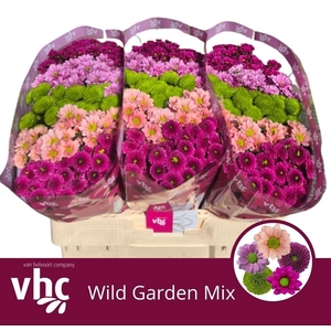 Chr S Gem Wild Garden