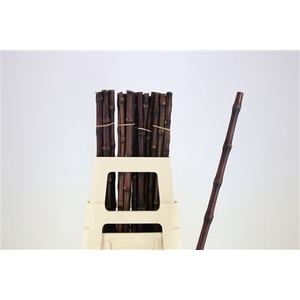 BAMBOO PURPLE