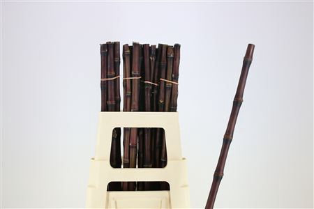 <h4>BAMBOO PURPLE</h4>
