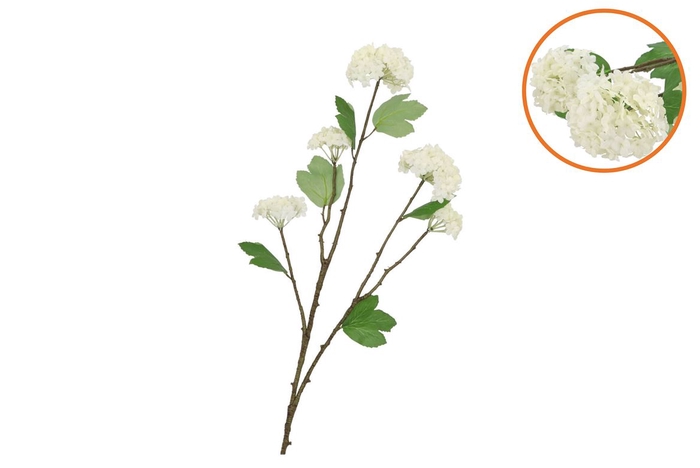 <h4>Silk Viburnum White 69cm</h4>