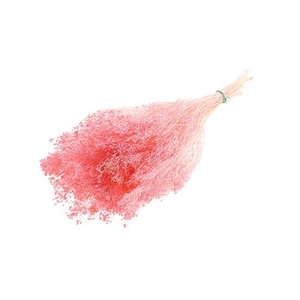 Bunch Broom Slv 100g L45