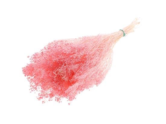 Bunch Broom Slv 100g L45