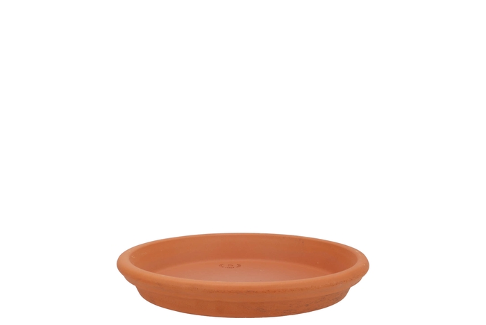 <h4>Terracotta Waterdish D19xh3cm</h4>