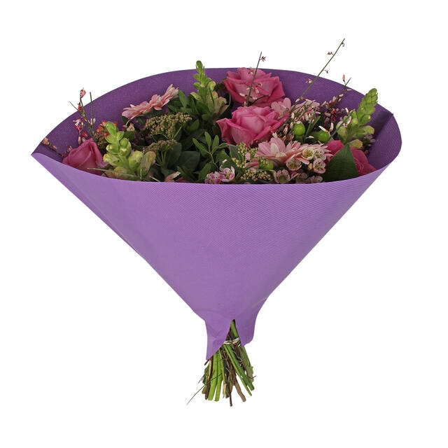 <h4>Hoes 35x35cm Angelo 70gr wit gestr. kraft paars 500/doos</h4>