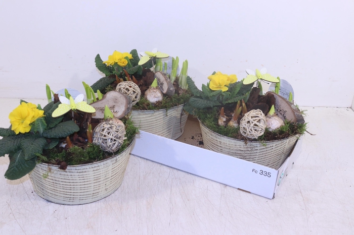 <h4>ARR TUINPLANTEN</h4>