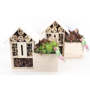 arr4 Semp MB - Insecten hotel 338/4