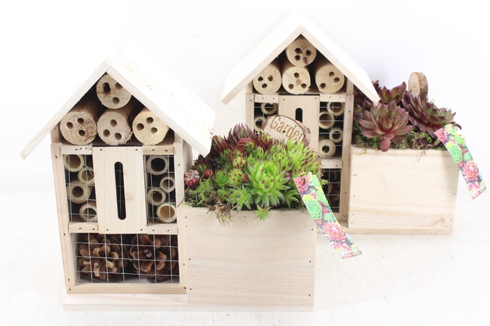 <h4>arr4 Semp MB - Insecten hotel 338/4</h4>