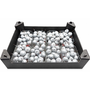 Waxmalus Gl Zilver