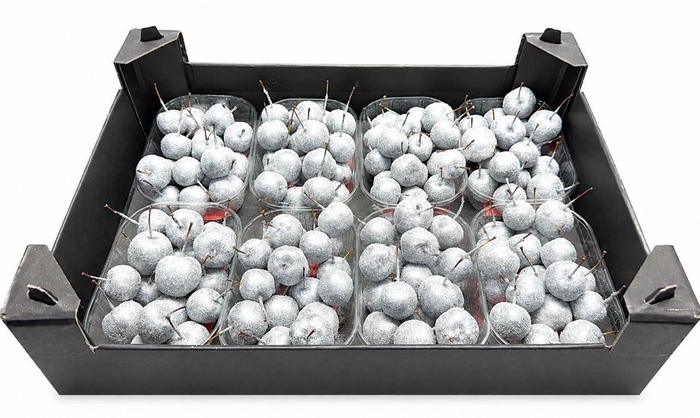 <h4>Waxmalus Gl Zilver</h4>