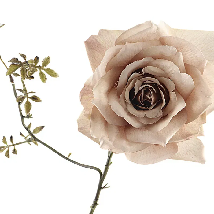 <h4>Rosa Spray Beige FL440207BGE</h4>