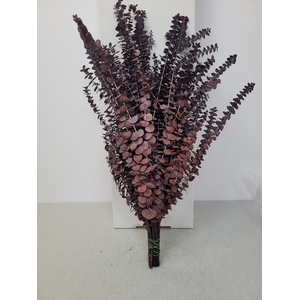 GESTABILISEERD EUC BABY ROOD