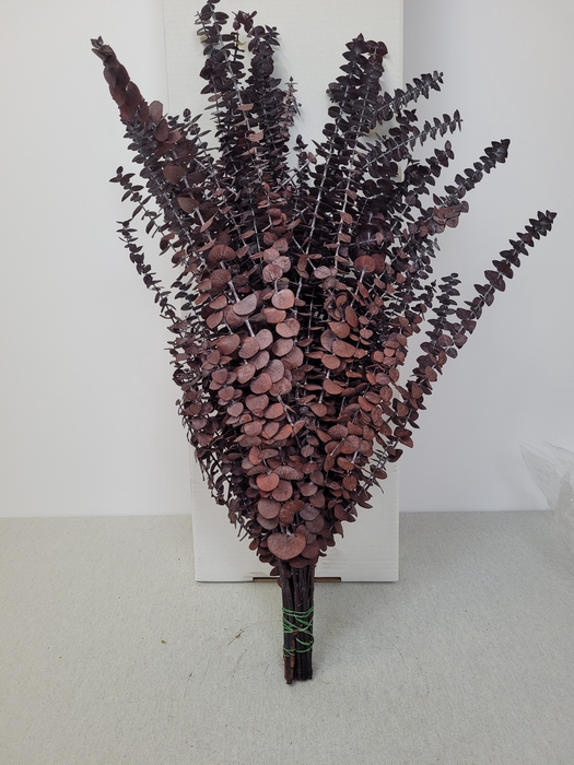 GESTABILISEERD EUC BABY ROOD