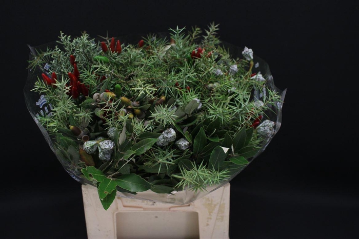 <h4>Boeket Berries Christmas</h4>