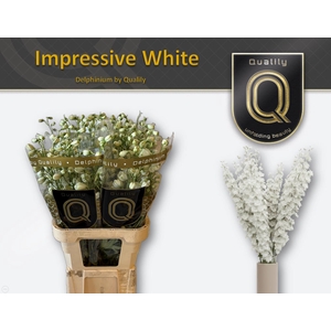 DELPH DU IMPR WHITE 80CM X40