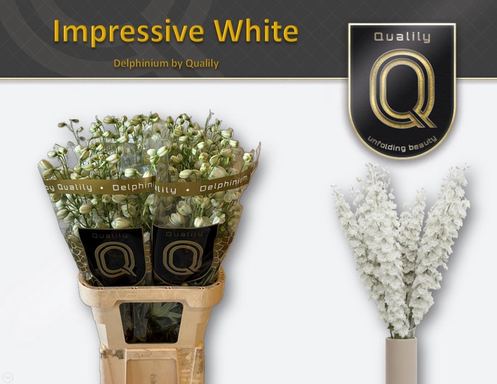 <h4>DELPH DU IMPR WHITE 80CM X40</h4>