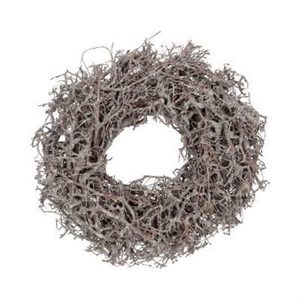 Wr Bonsai Wildly 30cm Frosted