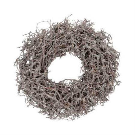 <h4>Wr Bonsai Wildly 30cm Frosted</h4>