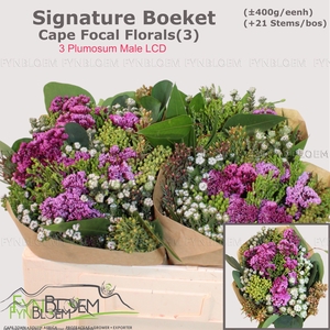 KAAPS GROE GEM IN BS