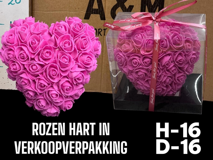 <h4>HUIS EN TUINDECO H%</h4>