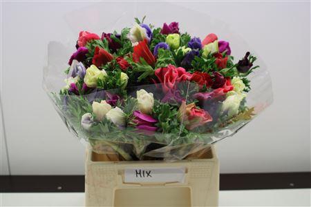 <h4>Anem Z Mistral Mix</h4>