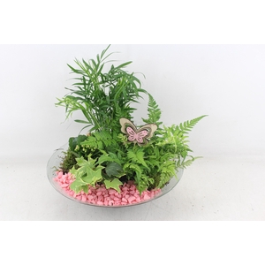 arr2 PL - Glas schaal 30cm - roze