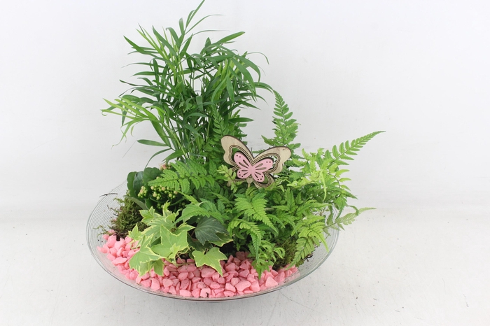 <h4>arr2 PL - Glas schaal 30cm - roze</h4>