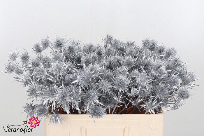 <h4>ERYN A OV KLB H%</h4>