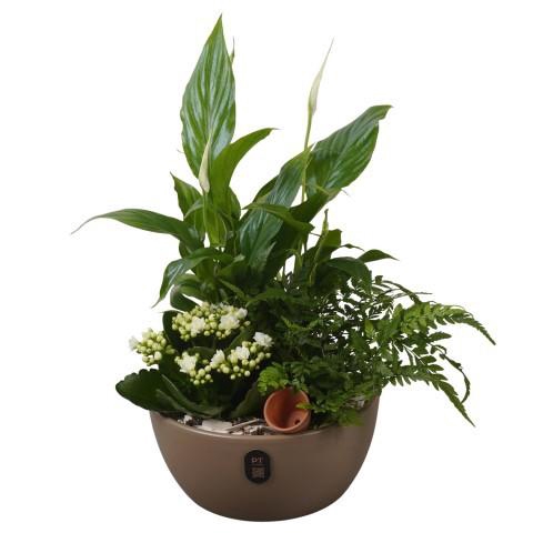 <h4>PTIB5162 Arrangement Indoor in keramiek schaal</h4>