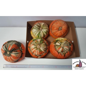 Overig sierfruit Turk's Turban Mix