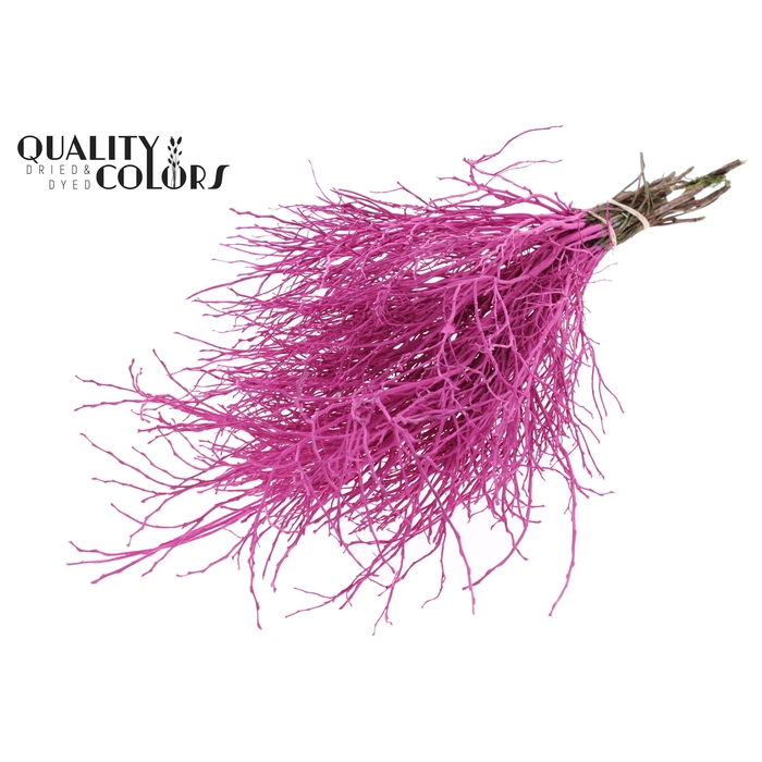 <h4>Huckelberry per bunch Cerise</h4>