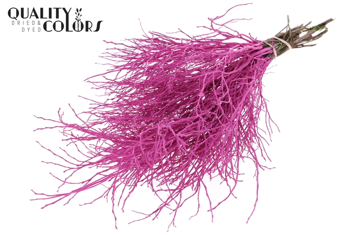 Huckelberry per bunch Cerise