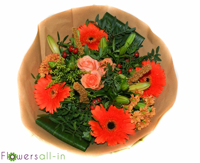 <h4>202340 Oranje</h4>