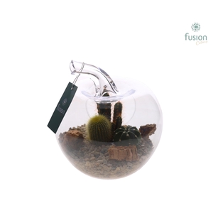 Glazen appel met Arrangement D18.5 H21