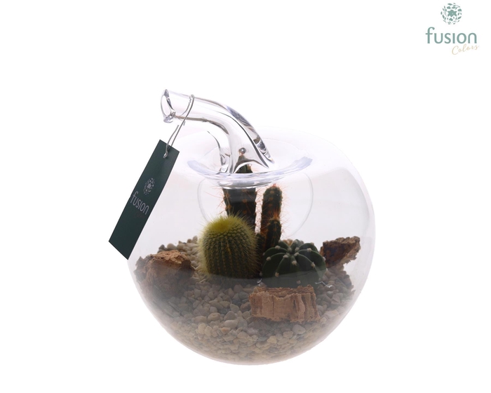 <h4>Glazen appel met Arrangement D18.5 H21</h4>