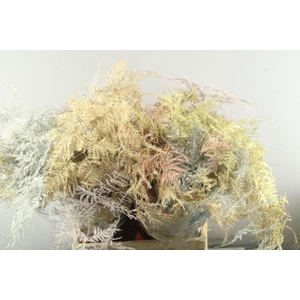 Asp Middel Getopt(metalic Mix)