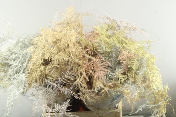 <h4>Asp Middel Getopt(metalic Mix)</h4>