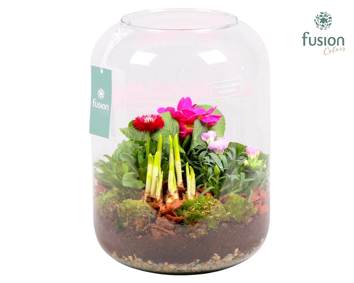 <h4>Green Bottle Isabella XLarge Voorjaar met Arrangement</h4>