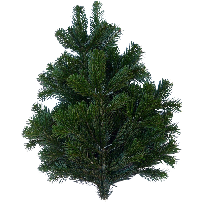 <h4>NORDMANN HANDBOS 500G</h4>