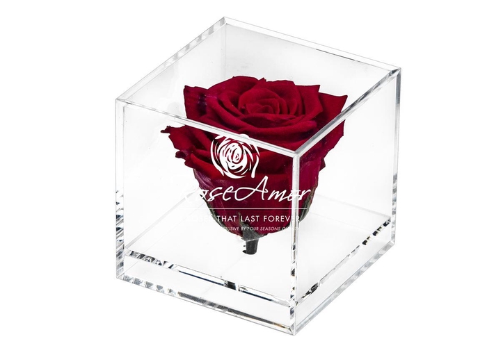 <h4>Giftbox Gb12 Red01</h4>