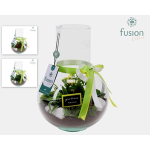 Green Bottle Suzanne Medium met Grootmoederdag arrangement