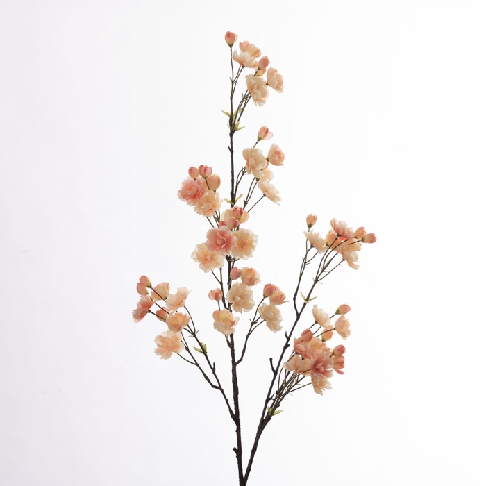 AF Cherry Blossom L133cm Peach