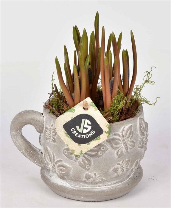 <h4>Cement vlinder kop en schotel 11cm</h4>