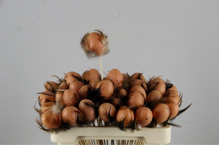 Stick Egg+Feather Brown