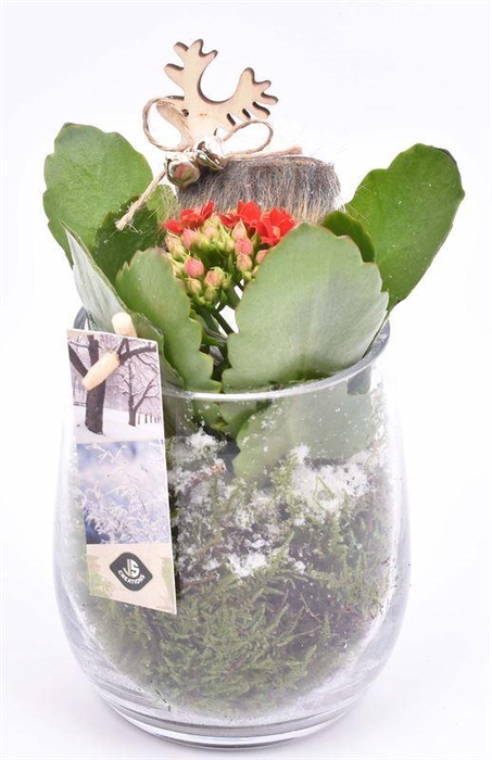 <h4>Glas cilinder 9x11cm</h4>