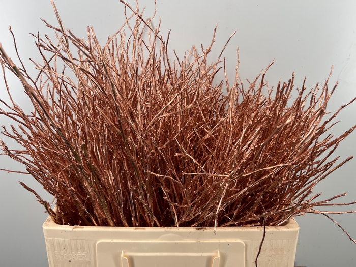 <h4>VACC KLB H%</h4>